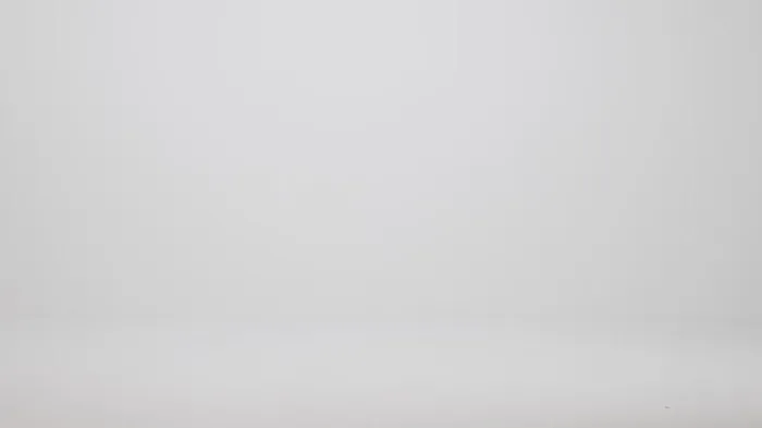 Brahmin Satchels Caroline Brindle Potomac 8211 Women Brahmin Satchels Caroline Brindle Potomac 8211 Women
